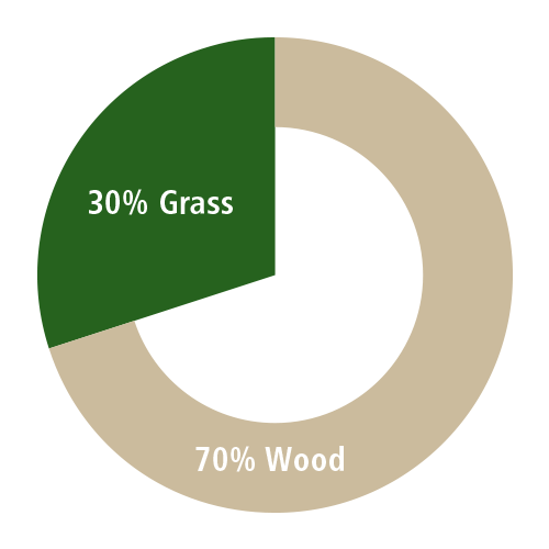 Diagramm Grasanteil in Graspapier